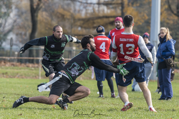 Duel engagé entre Centaures et Wildcats