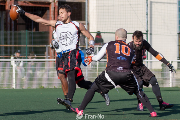 Les Molosses et les Météores se retrouveront en Finale