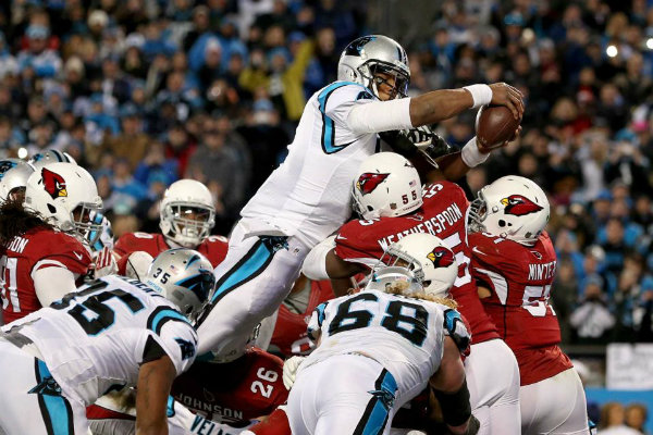Cam Newton trop fort pour les Cards