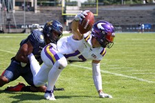 Les Vikings en puissance